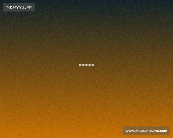 赛事志愿者是干什么的